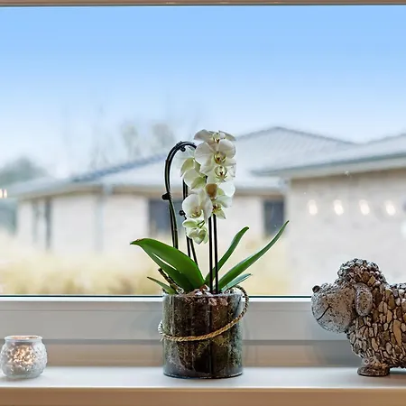 Bauernhof Lafrenz Wellness Haus Steilkueste Semesterbostad Klausdorf (Fehmarn)
