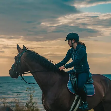 Semesterbostad Bauernhof Lafrenz Wellness Haus Steilkueste